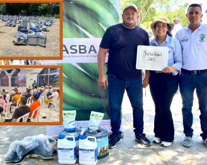 Con el fin de fortalecer los protocolos de bioseguridad en predios plataneros del municipio de Dibulla, ante la afectación por el hongo del Fusarium FocR4T, se articula capacitación sobre las acciones de prevención y vigilancia al sector productor y se gestionan insumos y herramientas para los predios de 40 productores de plátano en la región.