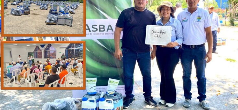 Con el fin de fortalecer los protocolos de bioseguridad en predios plataneros del municipio de Dibulla, ante la afectación por el hongo del Fusarium FocR4T, se articula capacitación sobre las acciones de prevención y vigilancia al sector productor y se gestionan insumos y herramientas para los predios de 40 productores de plátano en la región.